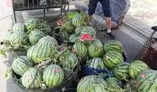 合肥幼儿吃瓜,夏日清凉趣味无限