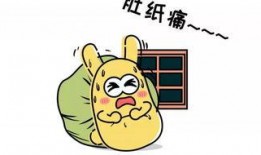 聚会吃瓜群众,共度欢乐时光