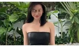 梦雅吃瓜事件,揭秘网络舆论背后的真相与反思