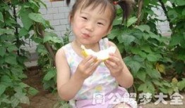 婆婆梦见分瓜吃瓜啥意思,婆婆梦见分瓜吃瓜的寓意与启示