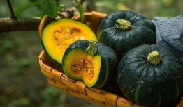 吃栗子的瓜,探寻传统美食的融合之美