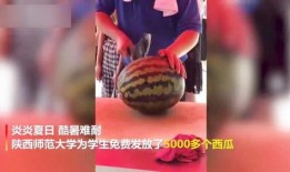 沈阳师范吃瓜视频