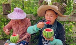 邻居吃瓜,揭秘邻居们的秘密生活