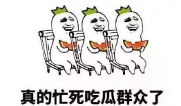 自我吃瓜,揭秘自我吃瓜的奇妙世界