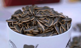 买袋瓜子吃瓜,舌尖上的悠闲时光