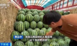 黑山吃瓜,揭秘神秘瓜果背后的传奇故事