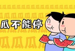 云财会计吃瓜,揭秘吃瓜群众的财务智慧