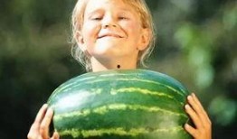 吃瓜乐不停文章,揭秘娱乐圈幕后真相