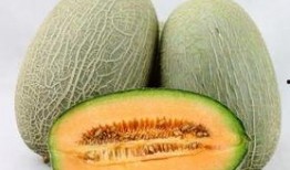 孕晚期睡前吃哈密瓜好吗,孕晚期睡前适量食用哈密瓜的益处与注意事项