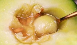 网纹蜜瓜孕妇可以吃吗,孕妇食用指南与注意事项