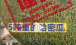 哈密吃哈密瓜下联,探寻新疆风情