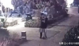 杰克吃瓜爆料视频大全,揭秘娱乐圈幕后真相