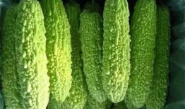 南宁体专吃瓜,揭秘校园吃瓜背后的故事