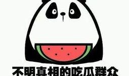 我们吃瓜群众好了,吃瓜群众视角下的娱乐圈风云录