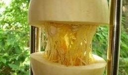 硬壳瓜怎么吃,解锁美味新体验