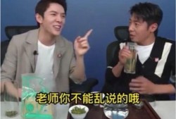 撒贝宁吃瓜,揭秘娱乐圈幕后真相