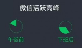 51吃瓜年度报告,揭秘网络热点背后的真相与趋势
