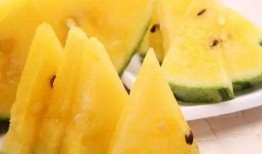 黑网料吃瓜地址,一场网络暗流涌动的狂欢