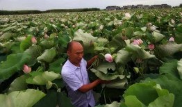 吃瓜宜兴徐某,宜兴徐某事件始末