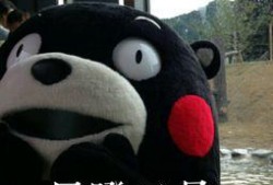 好尴尬吃瓜群众,好尴尬！吃瓜群众围观娱乐圈风云