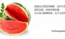 吃瓜中心视频,热门视频背后的故事与真相