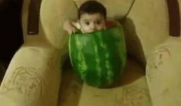 幼儿家长吃瓜,揭秘育儿圈里的那些事儿