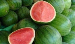 不能在家吃瓜,拒绝在家吃瓜的自律之道