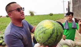 每日吃瓜小波,揭秘娱乐圈幕后故事