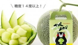 鱼饵软件怎么吃瓜,轻松吃瓜，畅享娱乐新体验