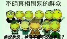 吃瓜群众老鼠视频大全