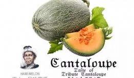 吃瓜打架网站推荐大全,吃瓜打架网站推荐大全，揭秘热门话题与热门人物！