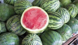 瓜不甜就不用吃瓜,探寻生活真谛的智慧箴言