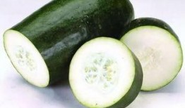 吃瓜五座,探寻娱乐圈背后的故事与真相