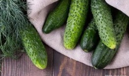 瘦下来的人吃瓜,瘦身达人揭秘瓜类美食的神奇魔力