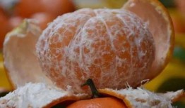 民大武鸣吃瓜,一场别开生面的“吃瓜”盛宴