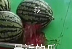 吃瓜的专业,吃瓜群众深度解析幕后真相