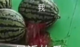 吃瓜的专业,吃瓜群众深度解析幕后真相