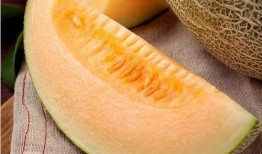 下雨大棚里吃瓜,瓜香四溢的夏日盛宴