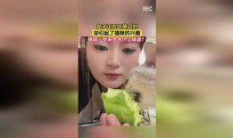 女生发看戏吃瓜,瓜田品百态——女性视角下的娱乐世界