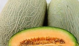 吃哈密瓜脸会,揭秘吃哈密瓜脸的秘密