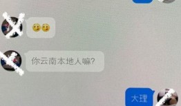 云财会计吃瓜,揭秘吃瓜群众的财务智慧
