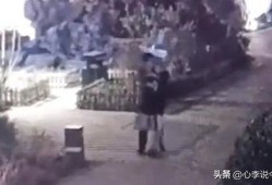 魏县吃瓜最新视频曝光,最新视频曝光揭示惊人内幕