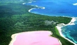 地球吃瓜客,揭秘全球热点事件背后的众生相