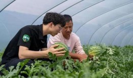 最新吃瓜密码,揭秘明星幕后真相