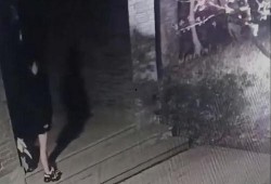 吃瓜兰州老街和护士,双重魅力共绘生活画卷