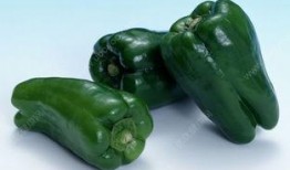 吃瓜和辣椒,探寻辣椒与美食的激情碰撞