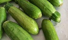 小角瓜可以烤着吃吗,美味烤食体验分享