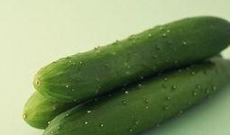 瘦下来的人吃瓜,瘦身达人揭秘瓜类美食的神奇魔力