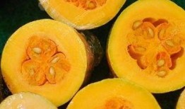 蓝瓜感冒吃吗,适宜食用还是禁忌？