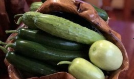 河津网红吃瓜,揭秘幕后故事与热门话题